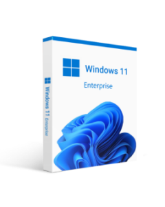 Windows 11 ent